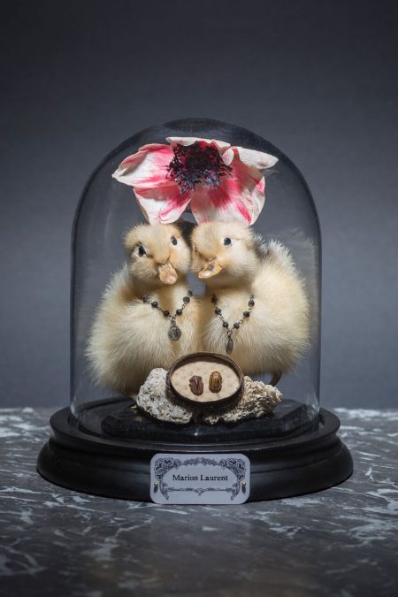 The inseparable ones 2016