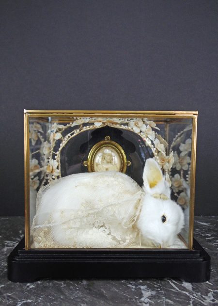 Promise 2017 22 x 18,5 x 17,5 cm